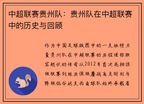 中超联赛贵州队：贵州队在中超联赛中的历史与回顾